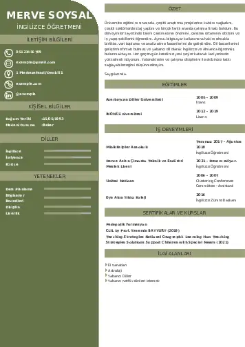 Yabancı Dil Öğretmeni Cv Örnekleri cv indir